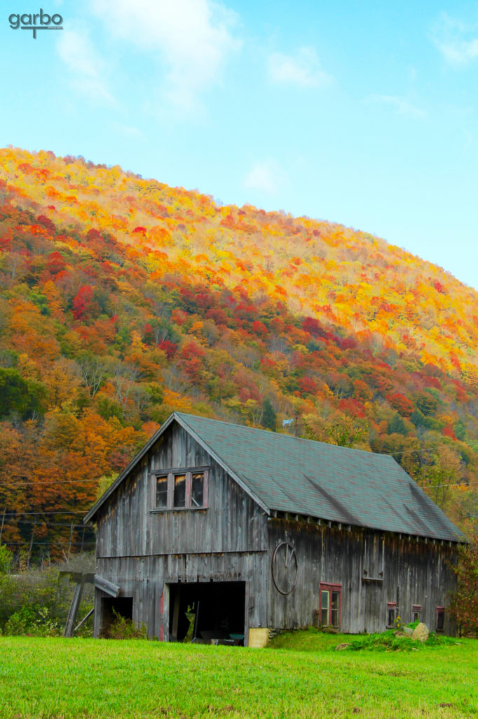 Barn colors, Vermont