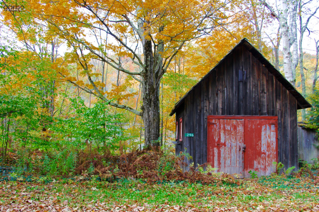 Fall shed, Vermont