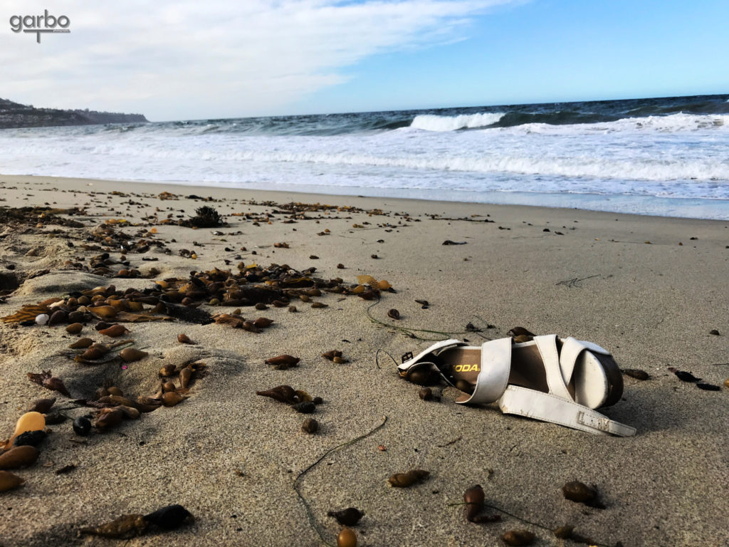 shoe on the beach