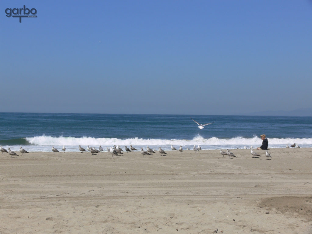 Boy on the beach, Redondo