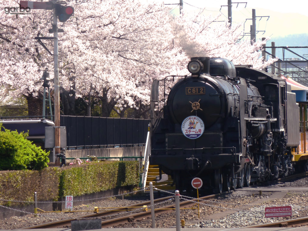 cherry train, Kyoto