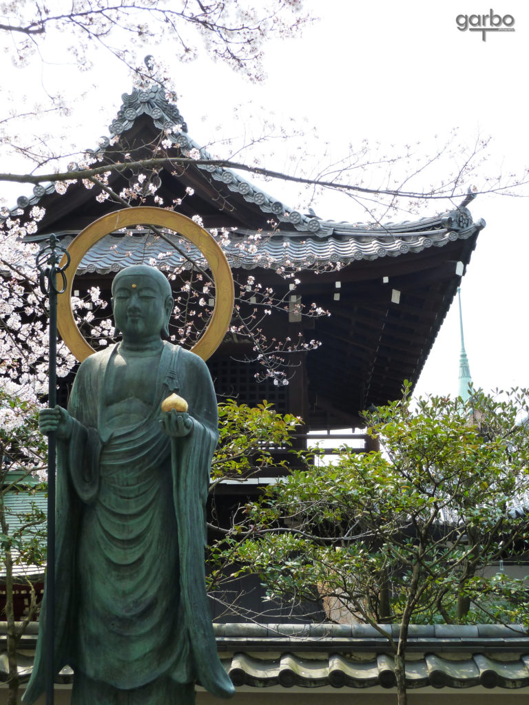 Falling blossoms, Kyoto