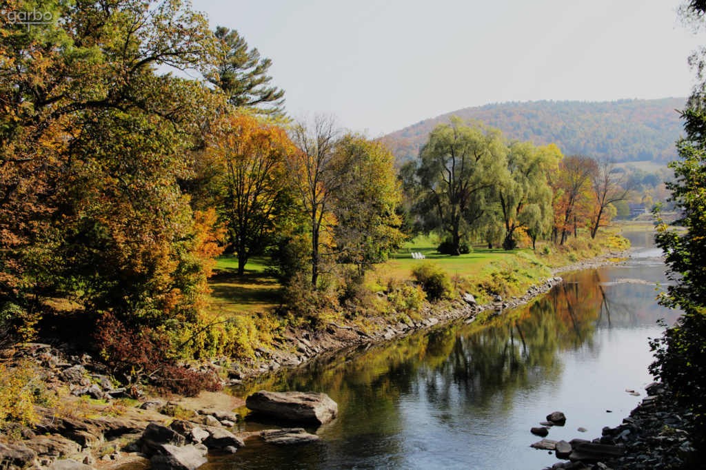 River in the fall