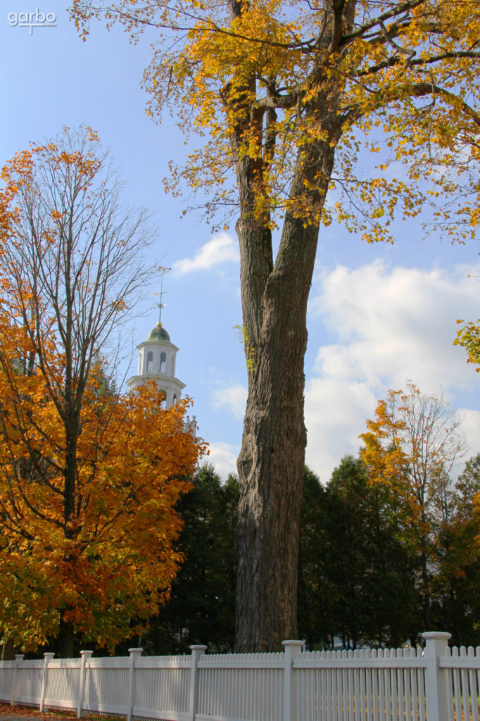 white fence and church steeple