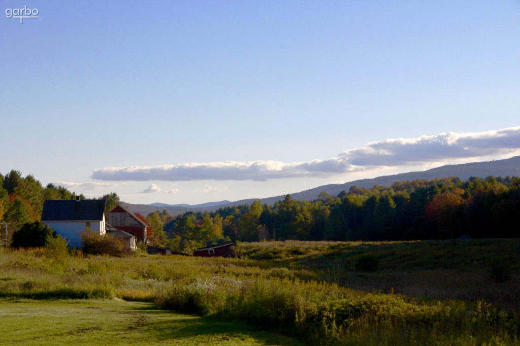 long shadows in the fall