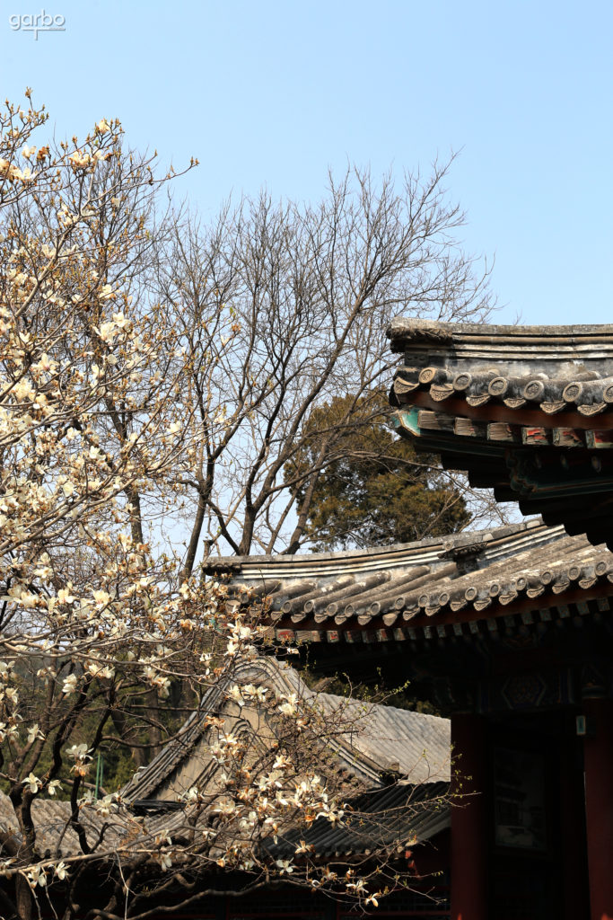 The Summer Palace, Beijing