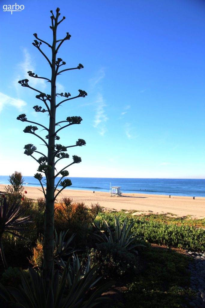 Manhattan Beach, California