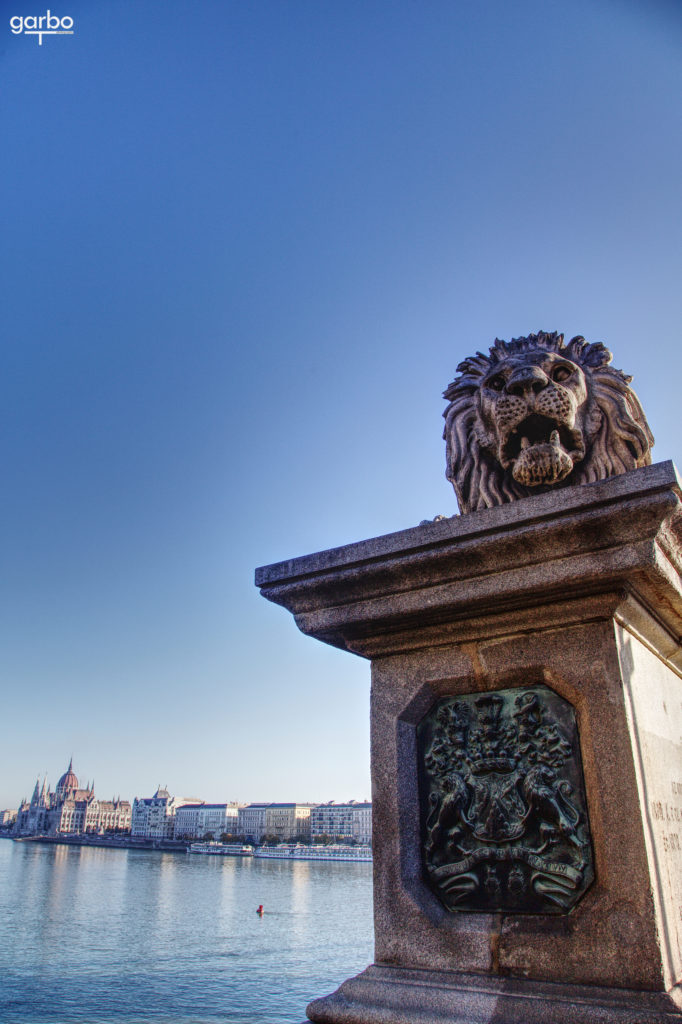 Lion detail, Bridge of Chains, Budapest