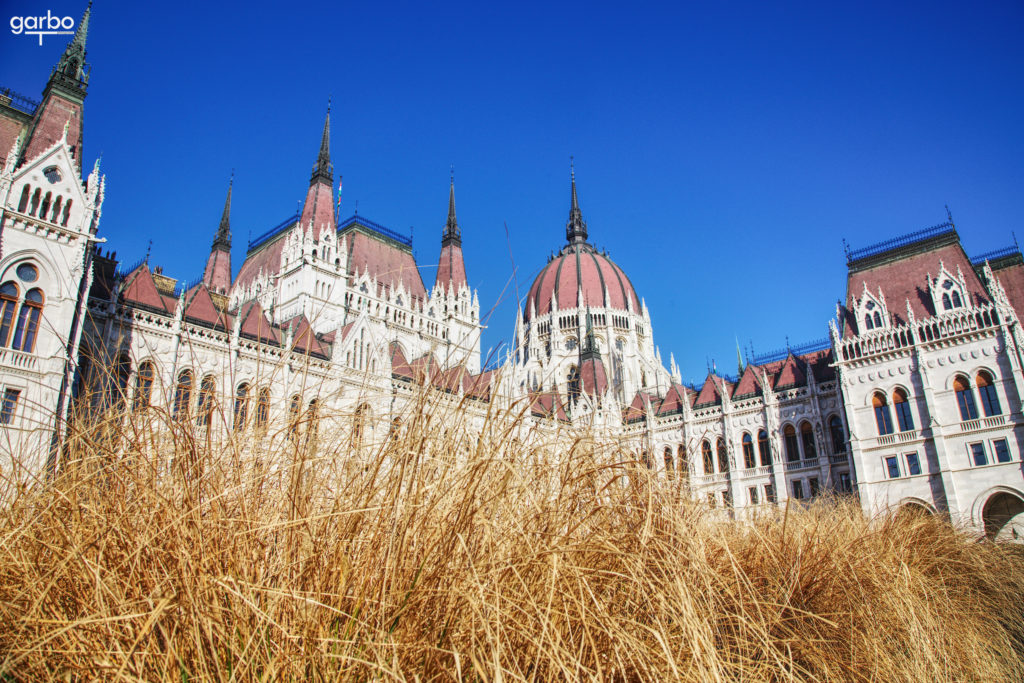 Grass, Hungarian Parliament Building, Budapest