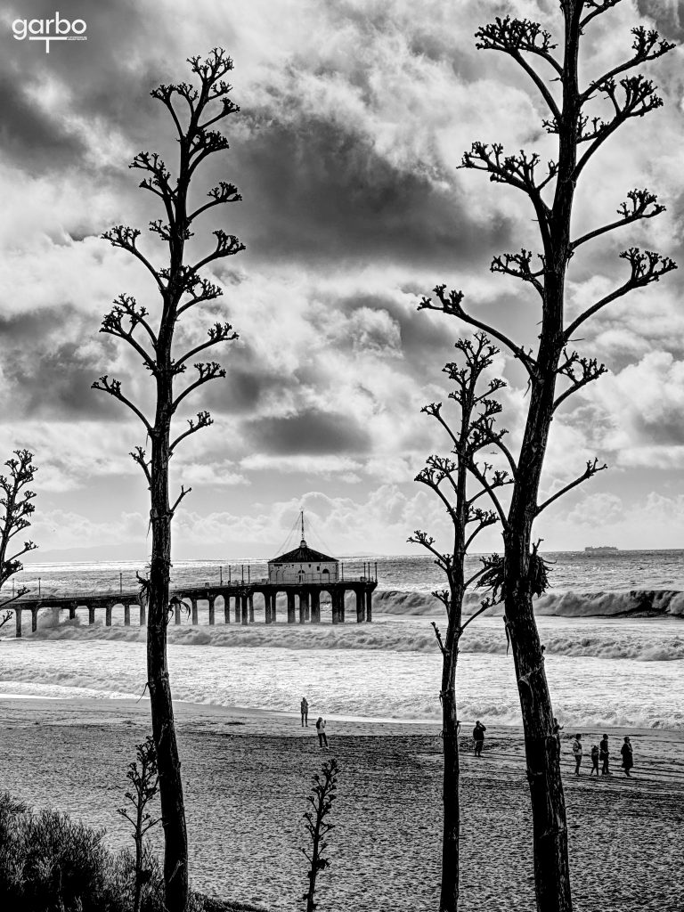 pier in black and white